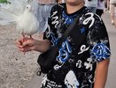 "Платите за каждого голубя":  в Кирове фотограф у цирка зарабатывает по 2000 за кадр