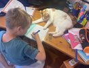 Школьников Кировской области могут начать поощрять за прогресс в учебе