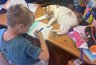 Школьников Кировской области могут начать поощрять за прогресс в учебе