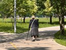 Почему люди растят неблагодарных детей и в старости остаются в одиночестве: запомните мудрые мысли Александры Марининой раз и навсегда