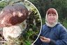 Где в Кировской области белые грибы растут даже в июле