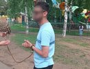 "Птиц эксплуатируют": кировчане бьют тревогу из-за уличных фотографов с совами