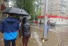 В Кирове жильцы дома нашли в затопленном подвале мух и утонувшую крысу