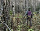 Пропавшего москвича сняли с дерева под Кировом
