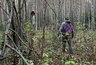 Пропавшего москвича сняли с дерева под Кировом