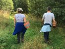 Где собирают лисички в Кирове: карта грибных мест