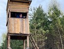 В Кировской области начался сезон охоты на бурого медведя