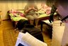 ФСБ в Кирове задержала жительницу Грозного