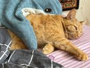 Нельзя тереть пятно на матрасе - узнала у подруги-клинера, как правильно вывести пятна. Оказывается, все проще простого