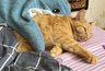 Нельзя тереть пятно на матрасе - узнала у подруги-клинера, как правильно вывести пятна. Оказывается, все проще простого