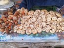 Кировские грибники собирают грузди бочками