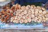 Кировские грибники собирают грузди бочками