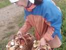 Можно ли замораживать грибы сырыми или сначала отварить: это стоит запомнить раз и на всю жизнь