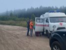 Пропавший дедушка 88 лет всю ночь провел в лесу: история спасения