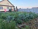 Какой забор поставить на участке: 7 популярных материалов с плюсами и минусами каждого варианта