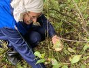 Массовый выход красных начался: где найти подосиновики в Кировской области