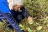 Массовый выход красных начался: где найти подосиновики в Кировской области