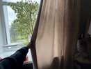 Почему умные хозяйки в 2026-м не вешают на окна ни шторы, ни жалюзи: гениальный тренд, который добавляет уюта и стиля