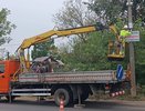 В Кирове камеры возьмут под контроль мусорные площадки