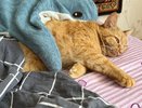 Как часто нужно менять постельное бельё на самом деле - запомните раз и навсегда, домашним тоже расскажите