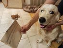 Как кировчане могут вернуть деньги за жкх-услуги после отпуска