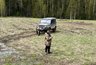 Сезон охоты на птиц стартовал в Кировской области: названы сроки
