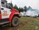 МЧСники раскрыли точное число погибших под Фаленками животных на ферме