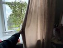 Шторы смело несите на мусорку - они больше не в фаворе: чем заменить надоевшие занавески - главный тренд 2026 у дизайнеров