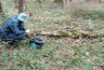 Грибники назвали места с большим количеством груздей в Кировской области
