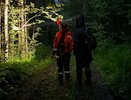 Школьник пошел в лес за грибами и заблудился под Кирово-Чепецком