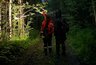 Школьник пошел в лес за грибами и заблудился под Кирово-Чепецком