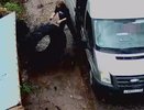 В Кирове зафиксировали первого нарушителя, который может остаться без машины из-за мусора
