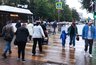 Ливни идут в Киров на две недели