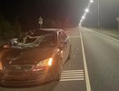 Сбитый велосипедист пробил стекло у иномарки и не выжил под Омутнинском