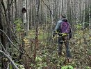 Грибников искали в лесу пять дней после встречи с медведем