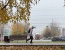 Трехдневные заморозки нагрянут в Киров