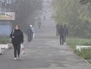Такого не будет даже в сентябре: что станет с температурой на пике полярного вторжения в Кирове