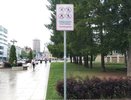 В Кирове наглядно запретили кататься на самокатах и скейтах у памятников
