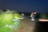 Следователи рассказали о первых результатах проверки после гибели чепчанки