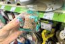 Собрала в Fix Price полезный набор для домашних питомцев: 7 находок от 79 до 349 рублей