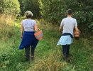 Новый выход груздей: где собирают грибы для засолки под Кировом