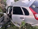 Разбитую легковушку с тремя людьми нашли у дерева в Ленинском