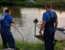 Мертвого человека достали из пруда в Кировской области