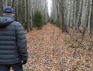В Кировской области открывается охота на лося