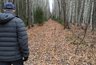 В Кировской области открывается охота на лося