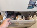 Убираю кухонную губку в морозилку - и уже утром радуюсь своей смекалке: ни запаха, ни бактерий - гениальный лайфхак