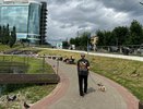 Новое предупреждение объявили для кировчан из-за погоды