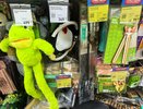 Зашла в Fix Price за кормом, а вышла с полной сумкой для питомцев: 7 находок от 60 ₽ — от игрушек до мисок