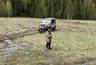 В Кирове иностранца поймали на контрабанде русского леса