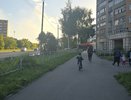 Аномальное тепло пришло в Киров: синоптики назвали сроки